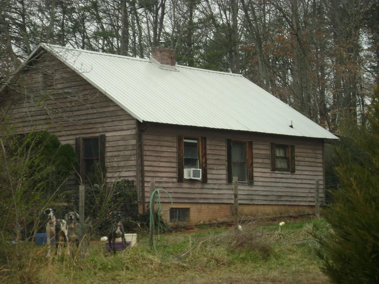 White metal roof on an old wood sided farmhouse, from a Asphalt Shingle Roof Repair job in Herman